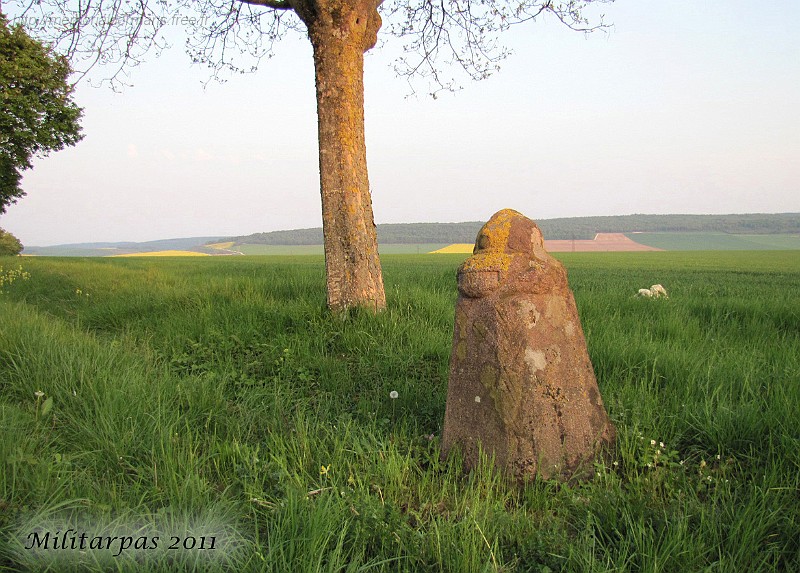 Lamorville - avril 2011.jpg